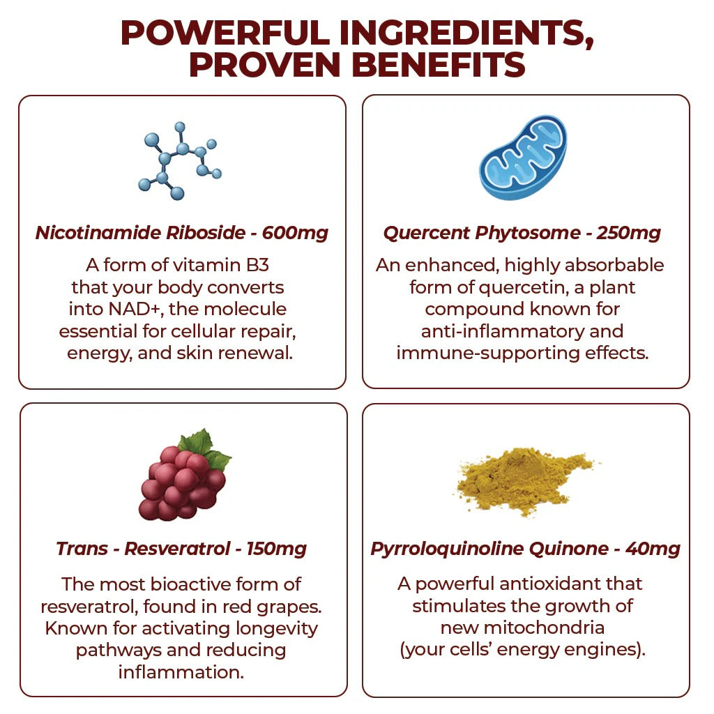 ZOOONE Liquid NAD+ 1000 mg – Berry Flavor, 30 Packets